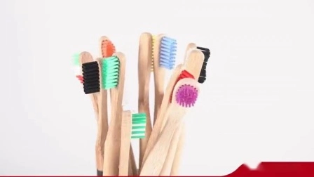 Leve a mini escova de dentes de bambu para viagem